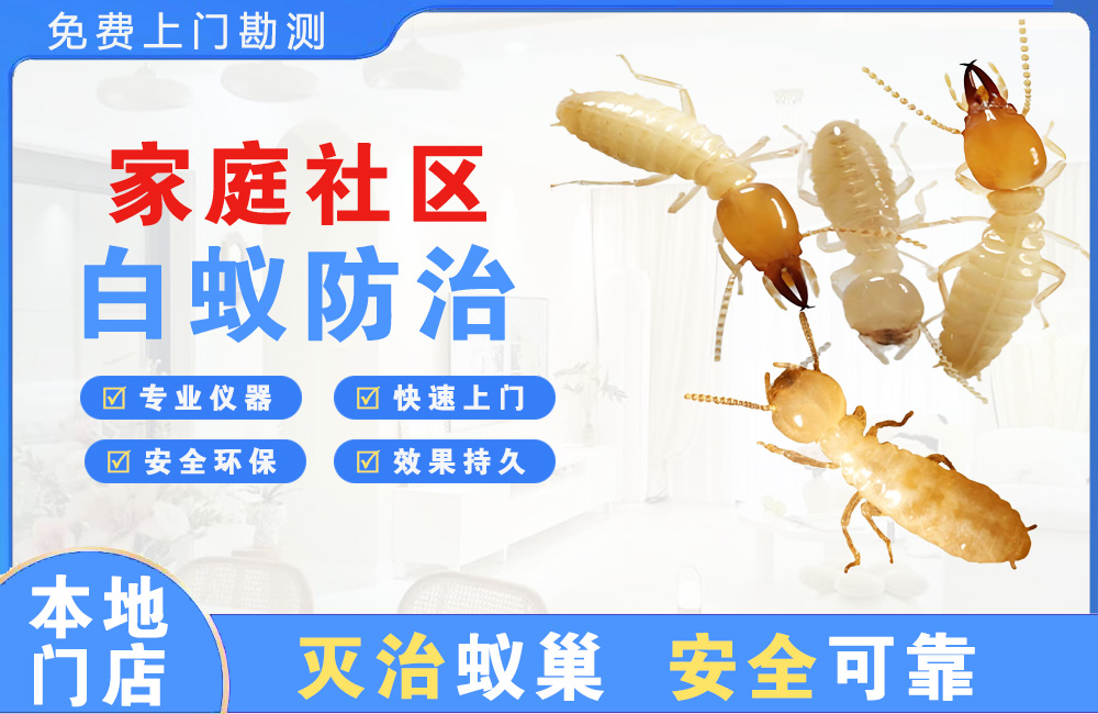 峨眉山家庭社区白蚁防治