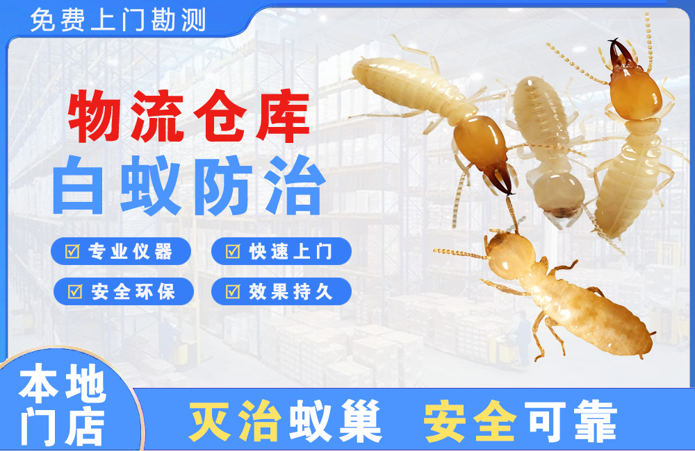 峨眉山物流仓库白蚁防治