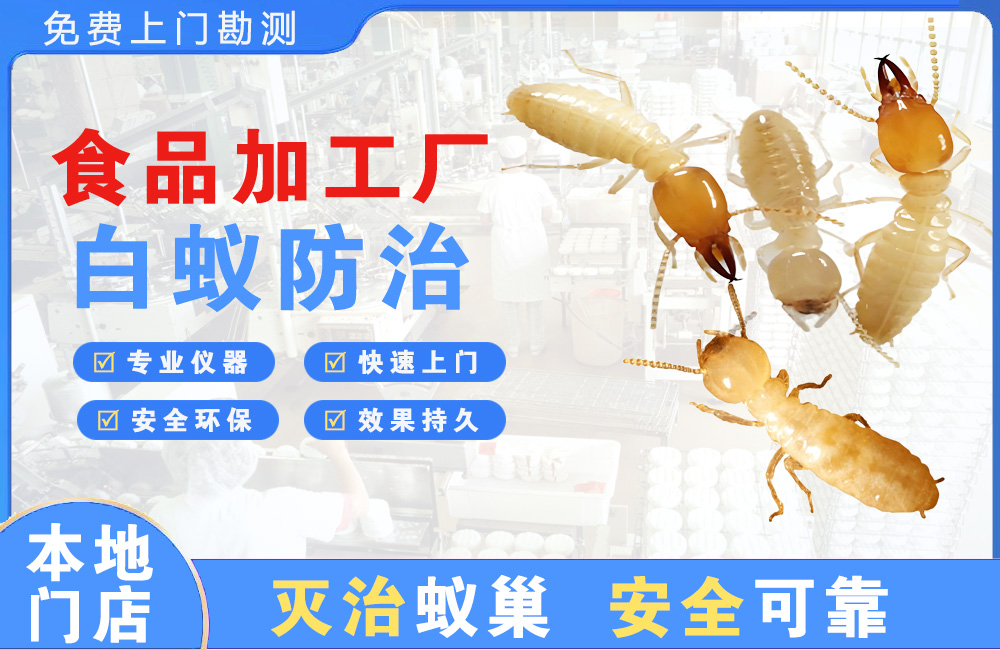峨眉山食品加工厂白蚁防治
