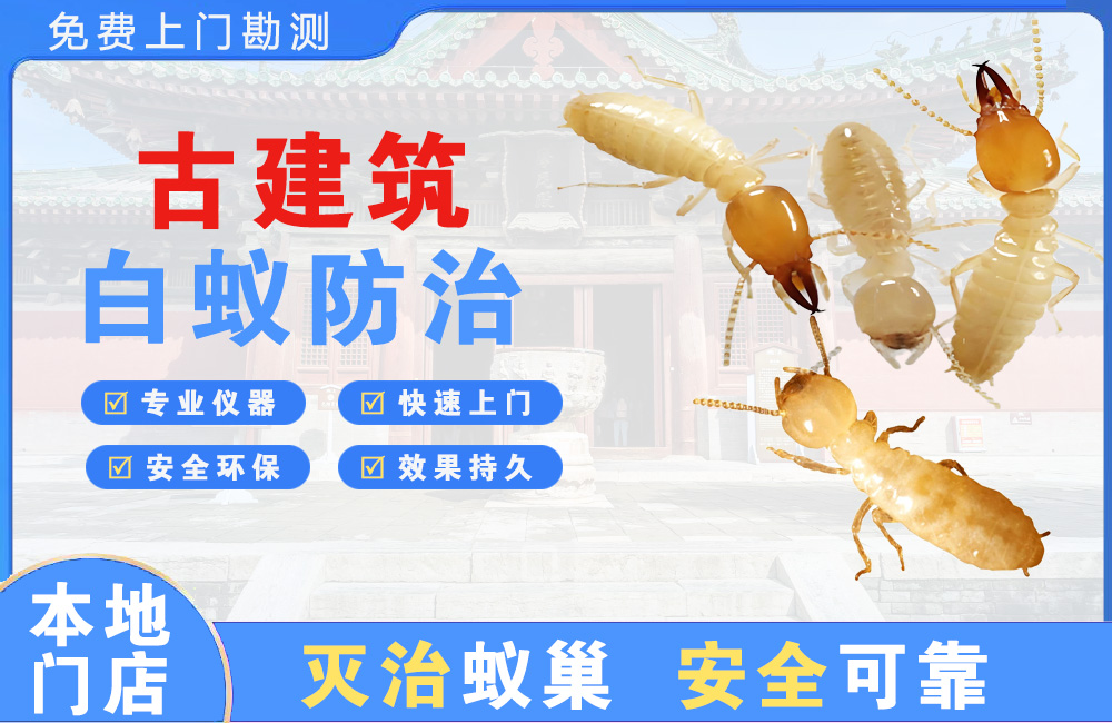 峨眉山古建筑白蚁防治