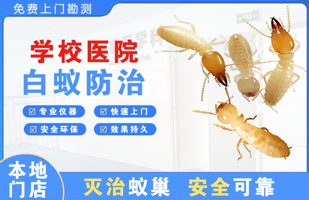 峨眉山学校医院白蚁防治