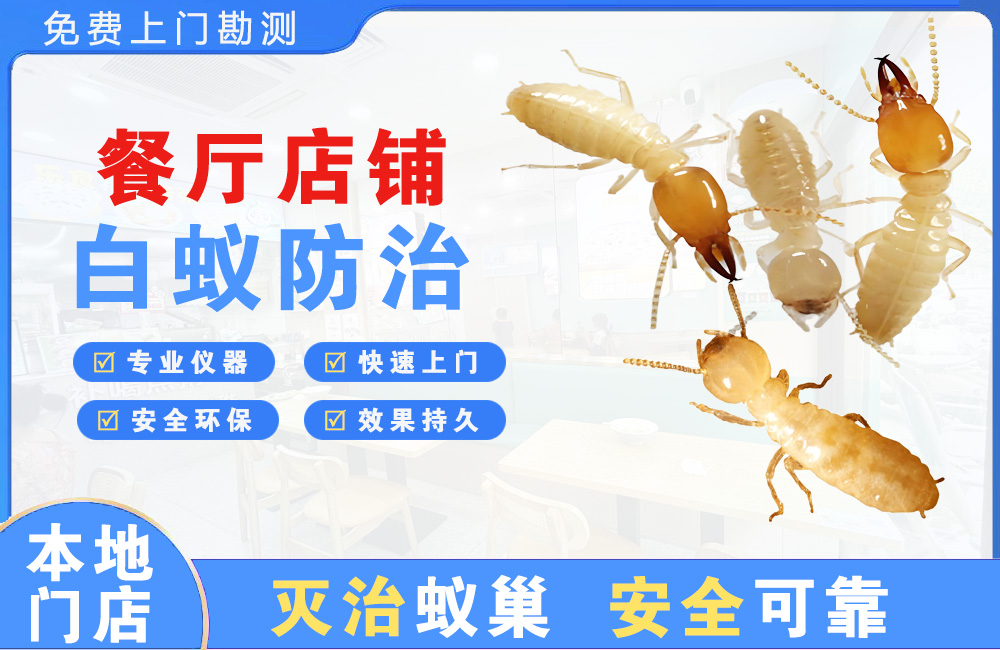峨眉山餐厅店铺白蚁防治
